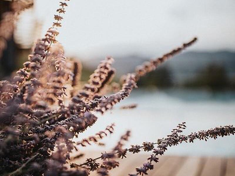 EB85AE940EC3CFA1F3C482D3697748A5