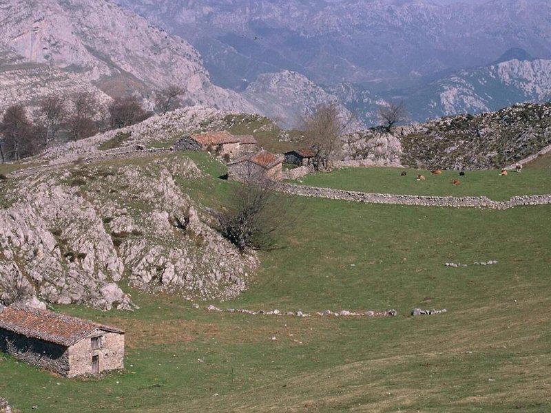 8401906B6BFDDE297B707B61E93C02D6