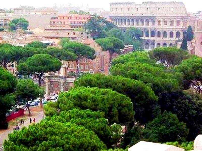 87C0D0DA4B862DBCA1383E2EED3C74B5