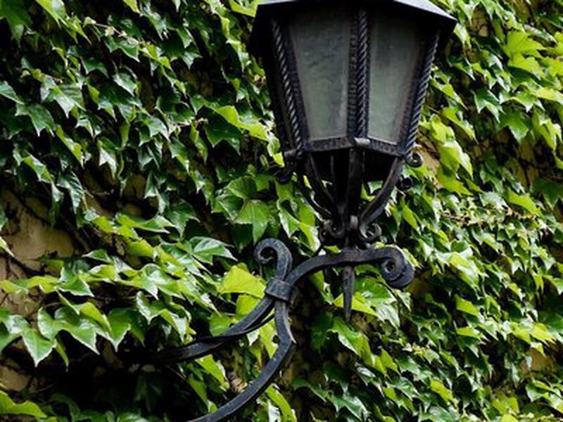 8DCC876CCC9827ECE94277B9AF0328F0