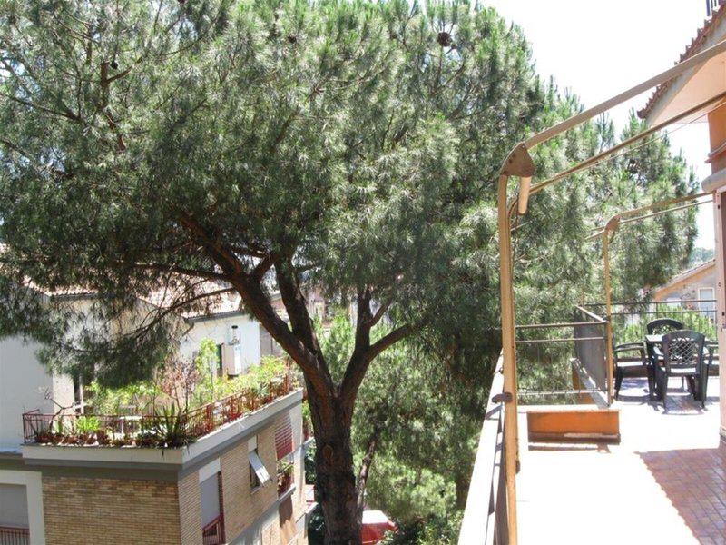 9AC9874D212956FC3ADA0D71DBD60A52