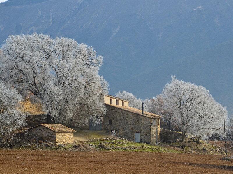 929852A0C39521E013892C0326E1CB2C