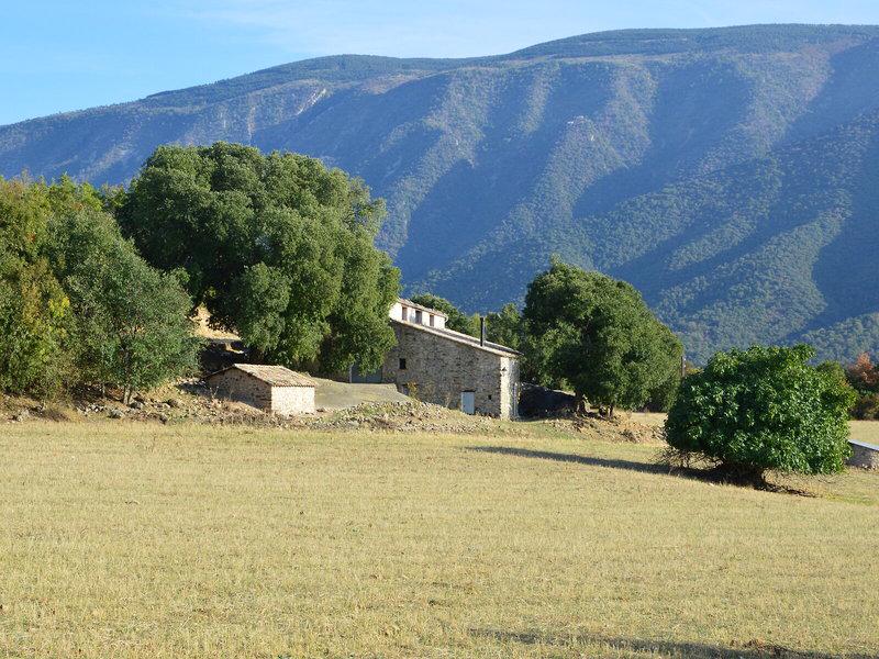 4B72AD275429ED91BE3A475F4D573393