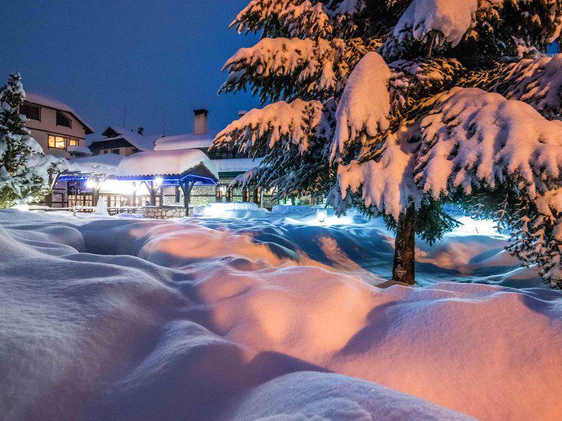 031F67CD0932F3C8E253E6870AD2CA33