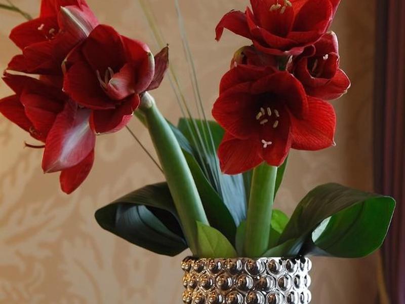 25209F5EE6529FFB9705C23BB67B33B4