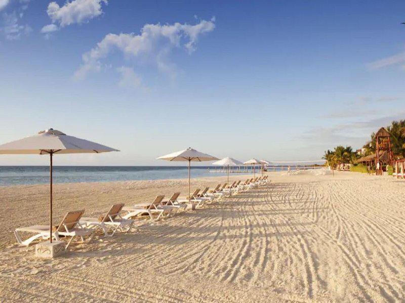 A323E2F222FCC07811B8C78446C1B47A