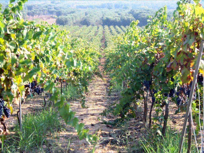 2FE3BCA755B49B0CF014935BA1594A7B