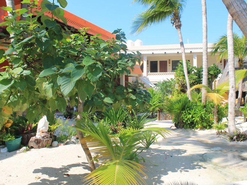 C71F98241B96D419E6EC69E3716E9917