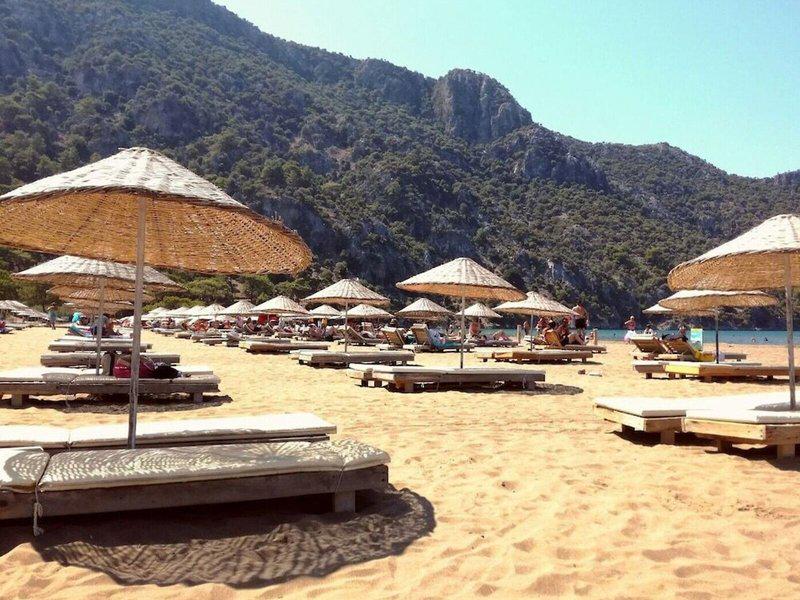 AB9AC901225B78FD6DD978479C00E5C0