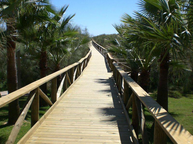 F0C1A54375694EA66BFD7BBA030161EF