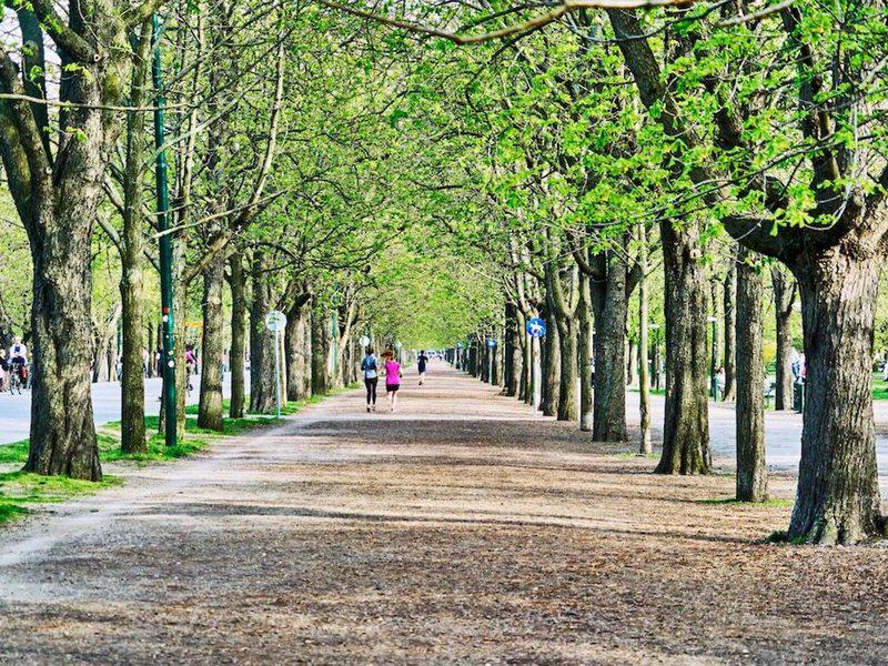 5567AFB1E8C0A69D86F4C160A3F80F32