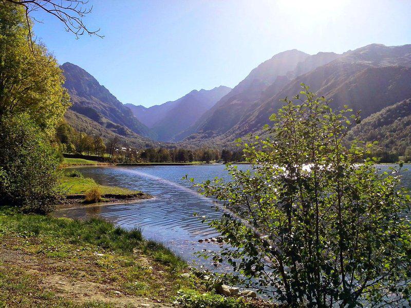 D46016192A48AD45E363707632DD477F