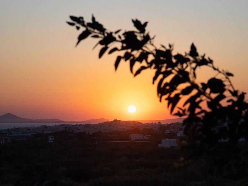 A4564D4BA1A4A4AB1D06DE188684F0AA