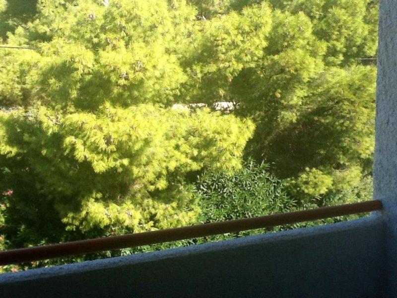 9DF049A8AE4CB477C3E5DB53F6B14AAA