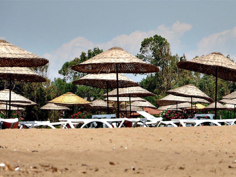 70870DBD06D66F69A88B729474E12788