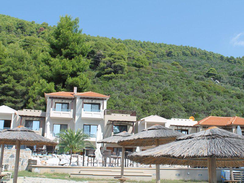 56F3B188F29F3A9A1299B9621EA7B4BA