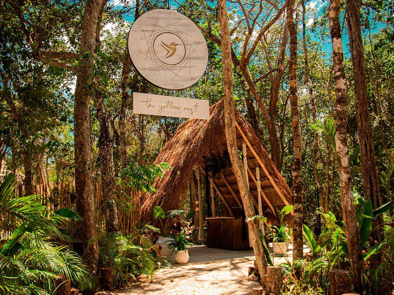 D01FA85DD39C8B88ACEA9408926D45E1