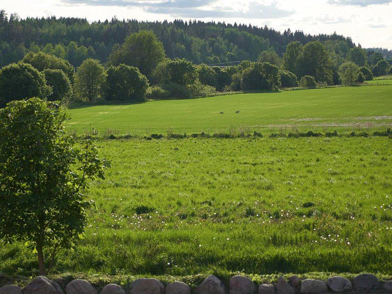 63A315A08AF58EC31212B31060F2E4D3