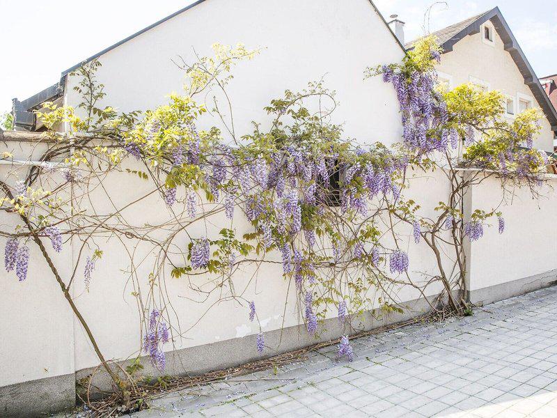 29326EF86CB18BD833F5C9F195D7E668