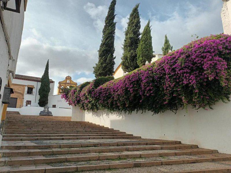 08CBABB2E35BC224CEC5A46A1BBA8E6B