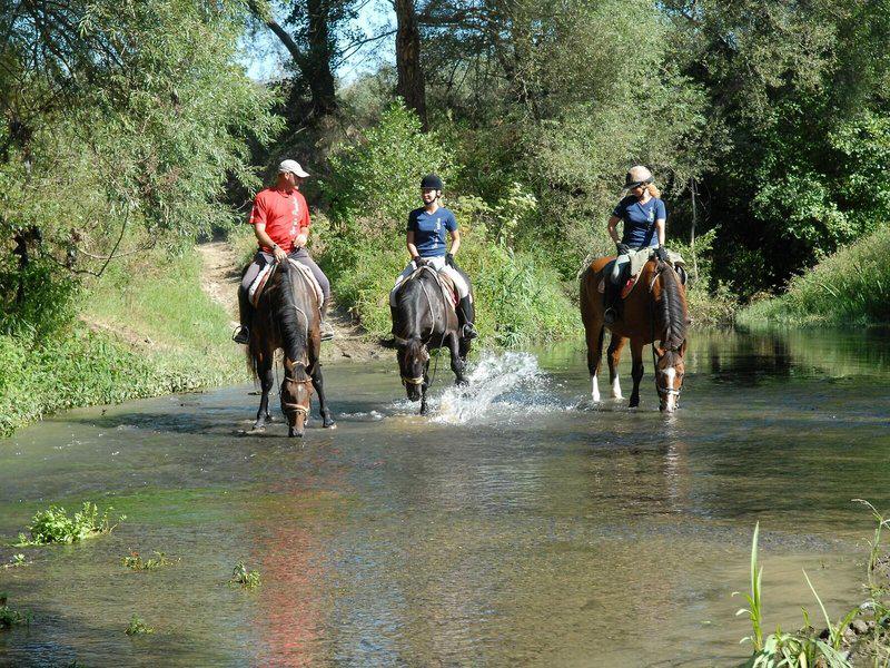 46BCCC52E7145C654AC6617FD52351A2