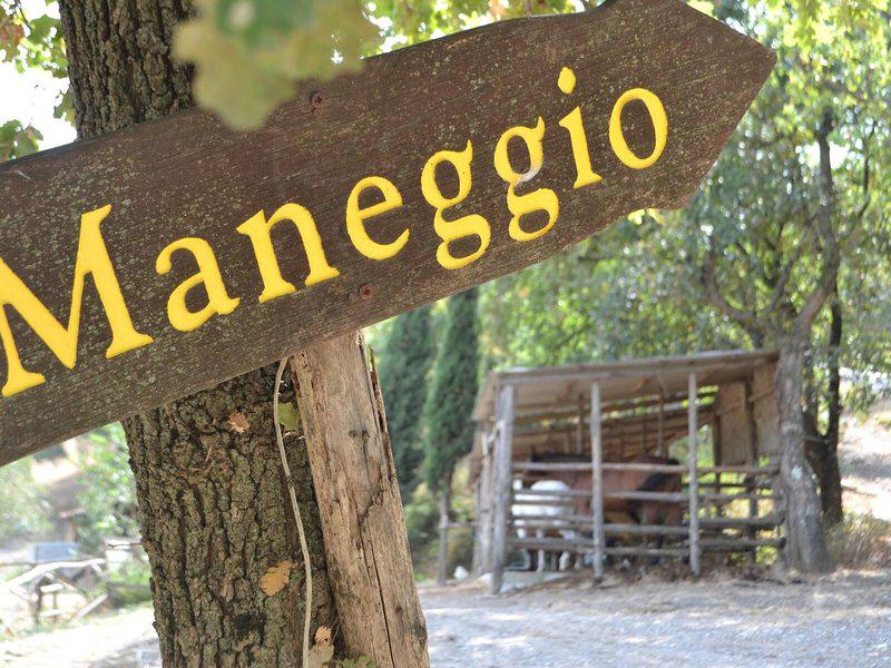 BD08375E4EE2A83DFC66FB9EDF94D1D6