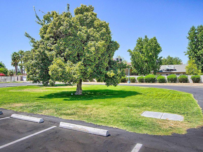 55FADE075BA52E763B74FC9340C625C0