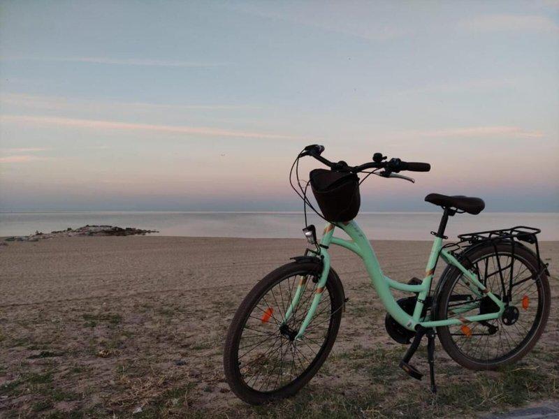 90A63EEDE67909587C4779030A74929F