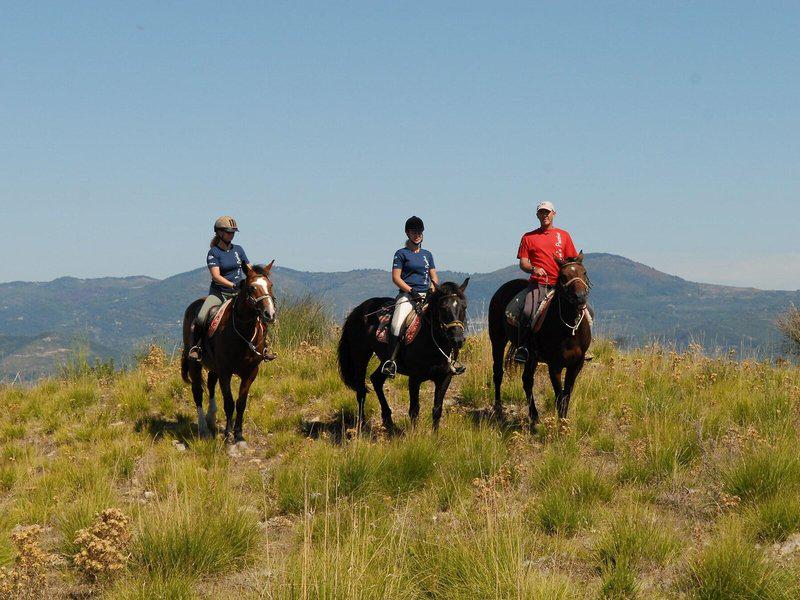 630F0799A3769C66AD7DDC60C09BDB38