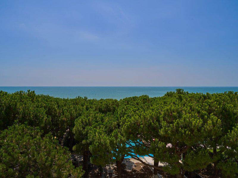 90E5FD693CADED7F861D6DF2559014D1