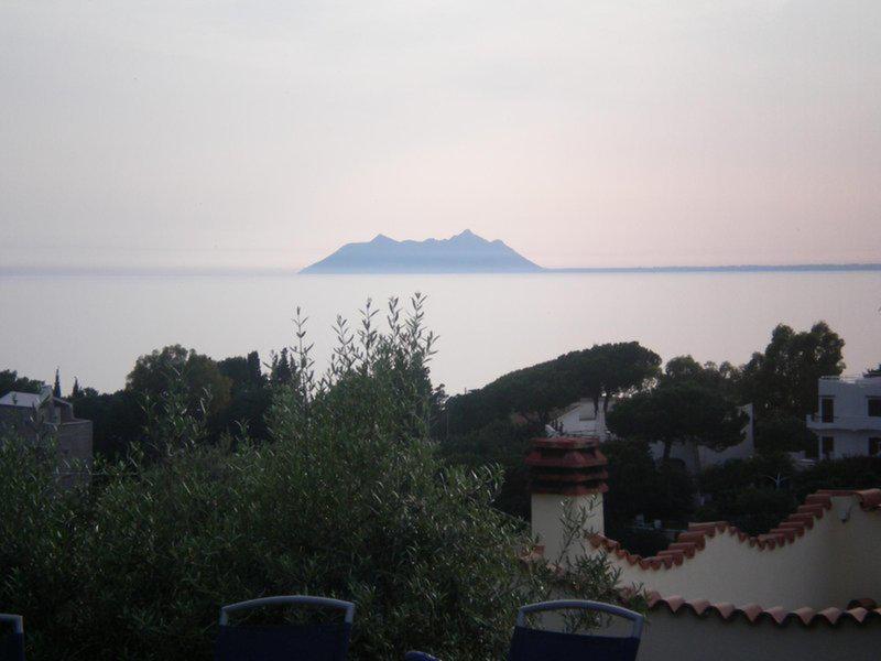 EE9A45F6DC30D8E859ED32831011C72B