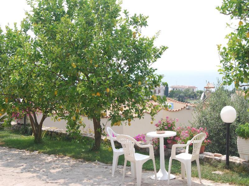 29ABE8AD112CCDA252250CE77AD25BFC