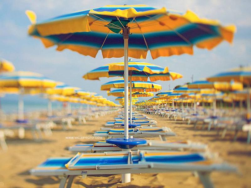 91CD9AB2544DF1BF4181CC526250D292