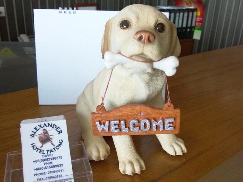 37A878A755424204715566A60FAD63EE