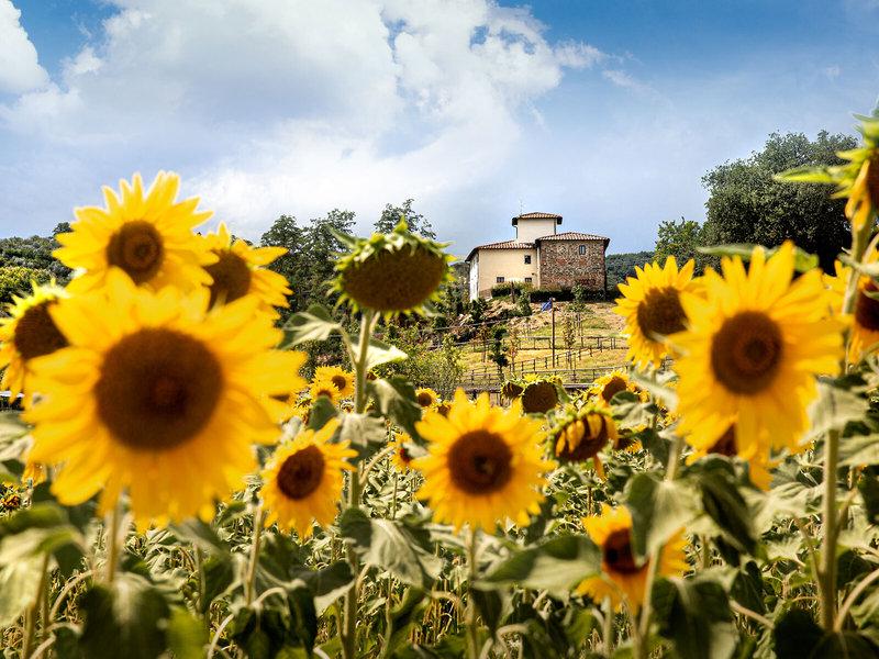 37CDEA6E16218CB138DBDD71949CDC51