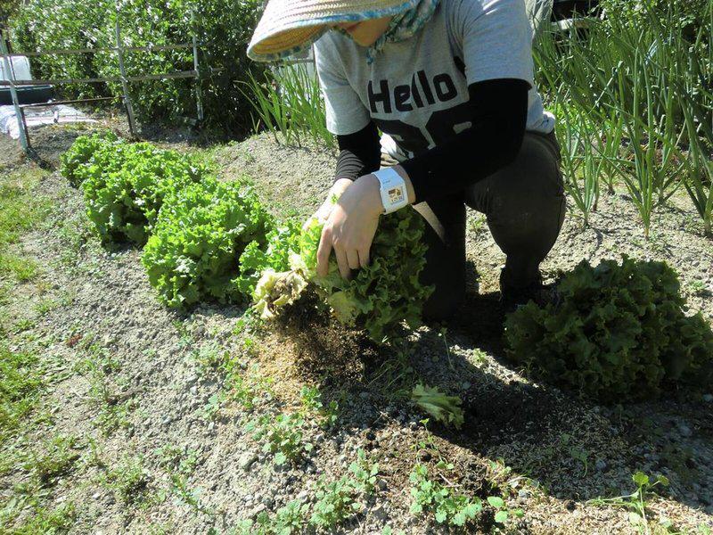 CE9EC8956658C4CF5164D31765265A17