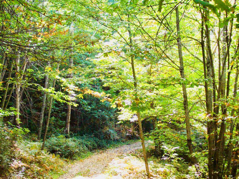 E2FB091C463F09F8E22E4642E83D79FC