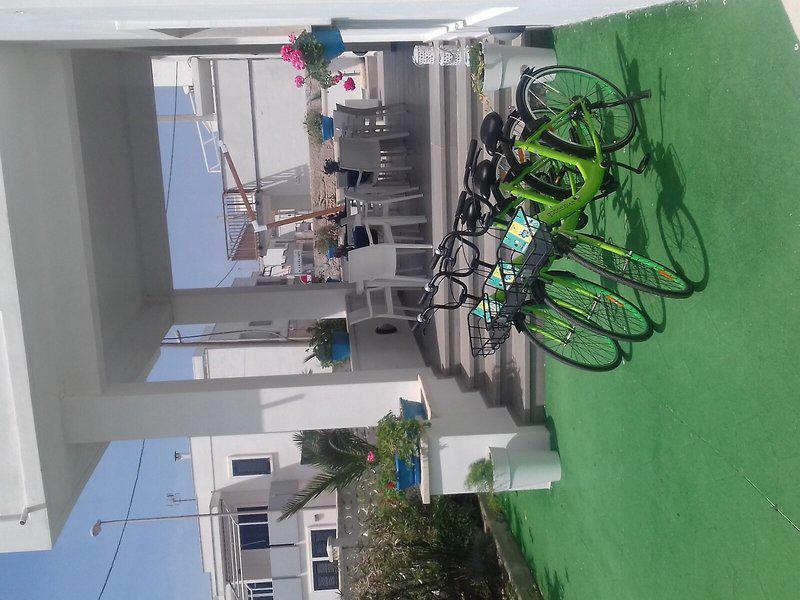 C7326F838A2FAC78B59CF5472C1785AA