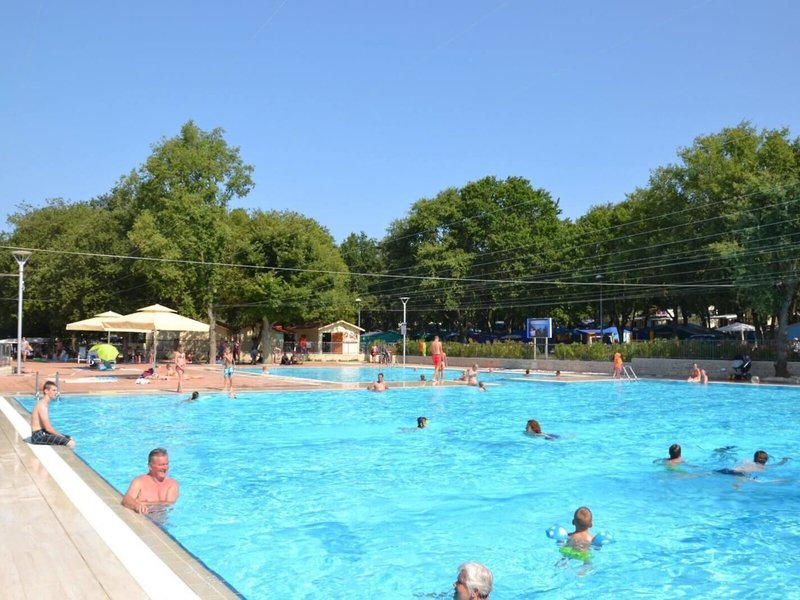 DE65AC2C78C0372922822AED2259289A