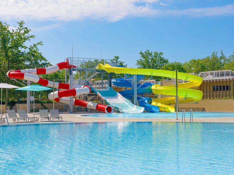 A9ED10BA33E3C7D84B5F95C5355550EC