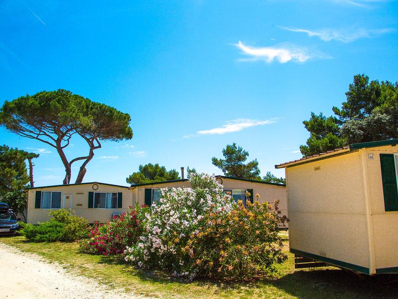 D5844EAD52DD0E0442009E848359BC0C