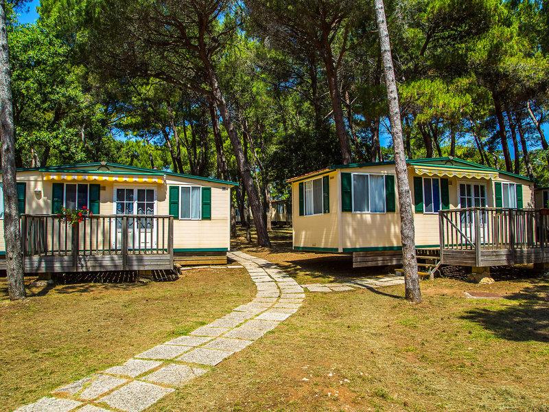 AE361B959071A0906CAEB316D66B012D