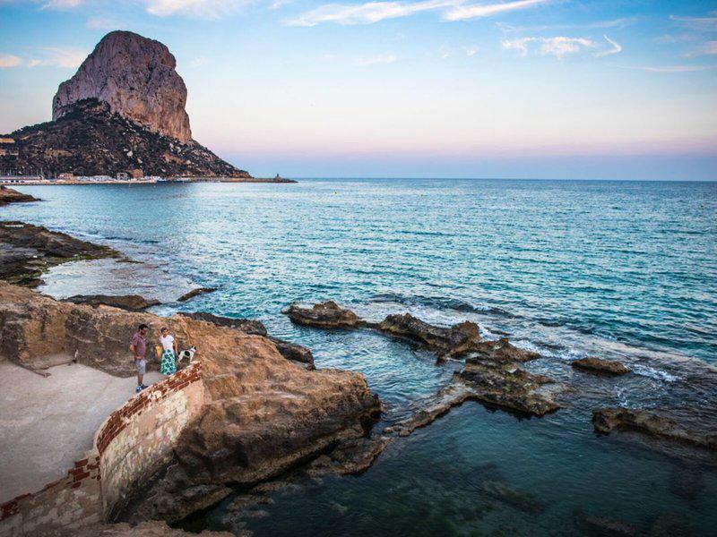 86A05A655BEE2EF5265BBE80A66D5BEF