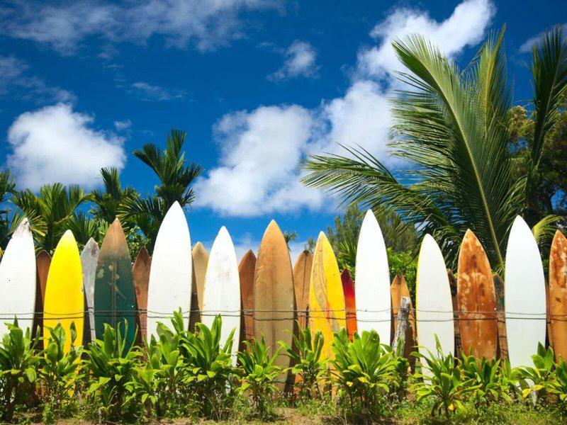 EE6D575AEC82B605757E6470097641F2