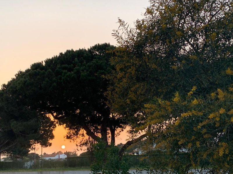 EC818CE9D8886306EEA0DA5EDB903E29