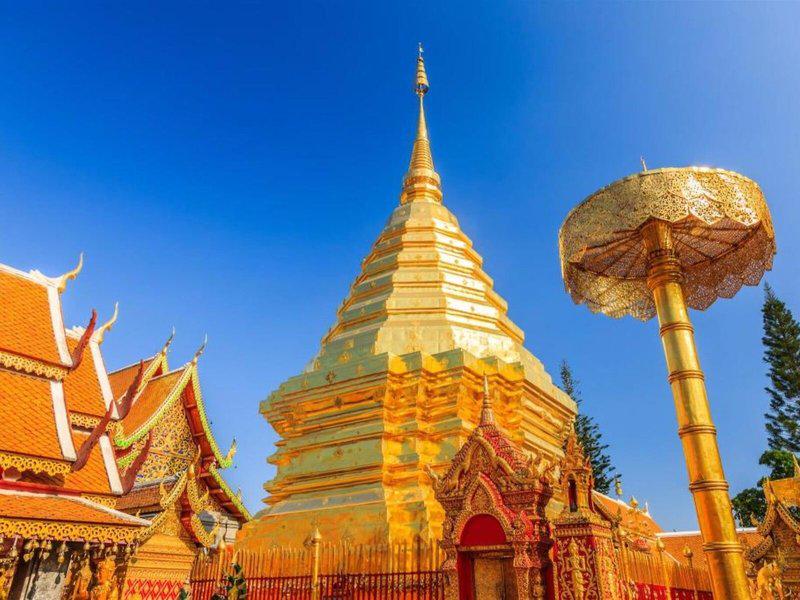 A5AAE2E9C39B99BB0360513237A188FF