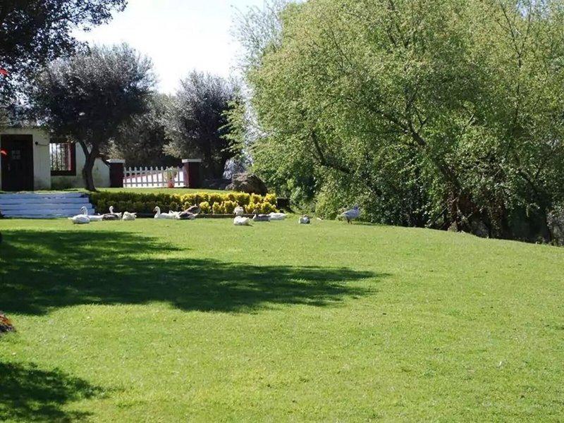 70568A2889AF6478426CFDD839549282