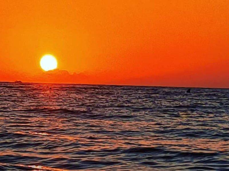 3942DD4F017091707DC010C546C1F8C5