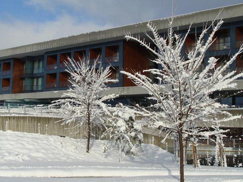 BEE31C869FD55CA0DFBA04D6B9FF8911