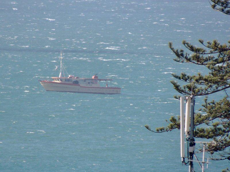 66B4B8A8774C283D386CECFC6C330DBC